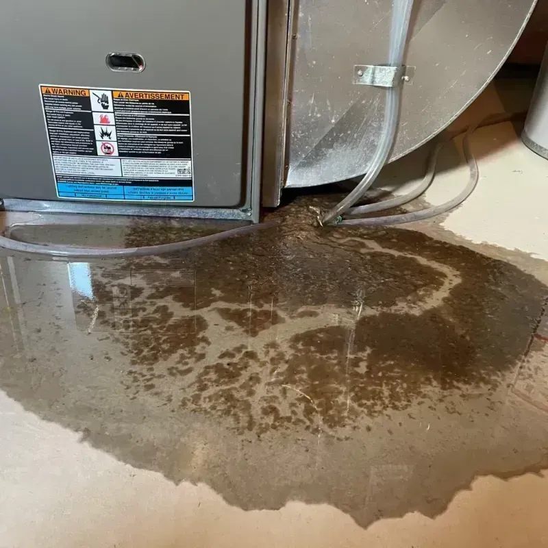 Appliance Leak Cleanup in Lonaconing, MD